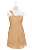ColsBM Nataly Desert Mist Plus Size Bridesmaid Dresses Simple Sleeveless Column Ruching Asymmetric Neckline Zipper