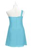 ColsBM Nataly Light Blue Plus Size Bridesmaid Dresses Simple Sleeveless Column Ruching Asymmetric Neckline Zipper