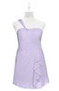ColsBM Nataly Light Purple Plus Size Bridesmaid Dresses Simple Sleeveless Column Ruching Asymmetric Neckline Zipper