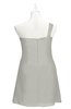 ColsBM Nataly Platinum Plus Size Bridesmaid Dresses Simple Sleeveless Column Ruching Asymmetric Neckline Zipper