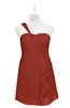 ColsBM Nataly Rust Plus Size Bridesmaid Dresses Simple Sleeveless Column Ruching Asymmetric Neckline Zipper