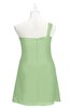 ColsBM Nataly Sage Green Plus Size Bridesmaid Dresses Simple Sleeveless Column Ruching Asymmetric Neckline Zipper