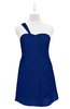 ColsBM Nataly Sodalite Blue Plus Size Bridesmaid Dresses Simple Sleeveless Column Ruching Asymmetric Neckline Zipper