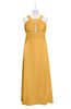 ColsBM Nathalia Golden Cream Plus Size Bridesmaid Dresses A-line Floor Length Ruching Zip up Mature Jewel