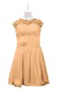 ColsBM Tenley Apricot Plus Size Bridesmaid Dresses Knee Length Zip up Cute Short Sleeve Lace A-line