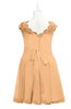 ColsBM Tenley Apricot Plus Size Bridesmaid Dresses Knee Length Zip up Cute Short Sleeve Lace A-line