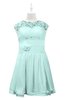 ColsBM Tenley Blue Glass Plus Size Bridesmaid Dresses Knee Length Zip up Cute Short Sleeve Lace A-line