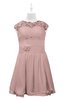 ColsBM Tenley Blush Pink Plus Size Bridesmaid Dresses Knee Length Zip up Cute Short Sleeve Lace A-line