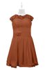 ColsBM Tenley Bombay Brown Plus Size Bridesmaid Dresses Knee Length Zip up Cute Short Sleeve Lace A-line