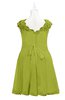 ColsBM Tenley Green Oasis Plus Size Bridesmaid Dresses Knee Length Zip up Cute Short Sleeve Lace A-line