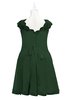 ColsBM Tenley Hunter Green Plus Size Bridesmaid Dresses Knee Length Zip up Cute Short Sleeve Lace A-line
