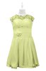 ColsBM Tenley Lime Green Plus Size Bridesmaid Dresses Knee Length Zip up Cute Short Sleeve Lace A-line