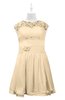 ColsBM Tenley Marzipan Plus Size Bridesmaid Dresses Knee Length Zip up Cute Short Sleeve Lace A-line