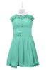 ColsBM Tenley Mint Green Plus Size Bridesmaid Dresses Knee Length Zip up Cute Short Sleeve Lace A-line