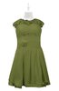 ColsBM Tenley Olive Green Plus Size Bridesmaid Dresses Knee Length Zip up Cute Short Sleeve Lace A-line