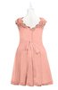 ColsBM Tenley Peach Plus Size Bridesmaid Dresses Knee Length Zip up Cute Short Sleeve Lace A-line