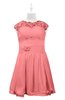 ColsBM Tenley Shell Pink Plus Size Bridesmaid Dresses Knee Length Zip up Cute Short Sleeve Lace A-line