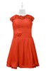 ColsBM Tenley Tangerine Tango Plus Size Bridesmaid Dresses Knee Length Zip up Cute Short Sleeve Lace A-line