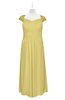 ColsBM Oakley Misted Yellow Plus Size Bridesmaid Dresses A-line Modern Floor Length Zip up Appliques Short Sleeve