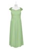 ColsBM Oakley Sage Green Plus Size Bridesmaid Dresses A-line Modern Floor Length Zip up Appliques Short Sleeve