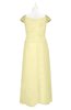 ColsBM Oakley Soft Yellow Plus Size Bridesmaid Dresses A-line Modern Floor Length Zip up Appliques Short Sleeve