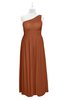 ColsBM Landry Bombay Brown Plus Size Bridesmaid Dresses Sleeveless One Shoulder Pleated Floor Length Elegant Half Backless
