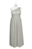 ColsBM Landry Platinum Plus Size Bridesmaid Dresses Sleeveless One Shoulder Pleated Floor Length Elegant Half Backless