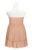 ColsBM Paityn Almost Apricot Plus Size Bridesmaid Dresses Pleated Zip up Sleeveless Strapless Knee Length Modern