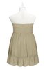 ColsBM Paityn Candied Ginger Plus Size Bridesmaid Dresses Pleated Zip up Sleeveless Strapless Knee Length Modern