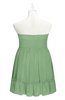 ColsBM Paityn Fair Green Plus Size Bridesmaid Dresses Pleated Zip up Sleeveless Strapless Knee Length Modern