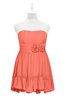 ColsBM Paityn Fusion Coral Plus Size Bridesmaid Dresses Pleated Zip up Sleeveless Strapless Knee Length Modern