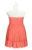 ColsBM Paityn Fusion Coral Plus Size Bridesmaid Dresses Pleated Zip up Sleeveless Strapless Knee Length Modern