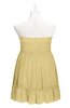 ColsBM Paityn Gold Plus Size Bridesmaid Dresses Pleated Zip up Sleeveless Strapless Knee Length Modern
