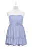 ColsBM Paityn Lavender Plus Size Bridesmaid Dresses Pleated Zip up Sleeveless Strapless Knee Length Modern