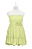 ColsBM Paityn Lime Sherbet Plus Size Bridesmaid Dresses Pleated Zip up Sleeveless Strapless Knee Length Modern