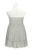 ColsBM Paityn Platinum Plus Size Bridesmaid Dresses Pleated Zip up Sleeveless Strapless Knee Length Modern