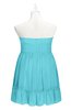 ColsBM Paityn Turquoise Plus Size Bridesmaid Dresses Pleated Zip up Sleeveless Strapless Knee Length Modern