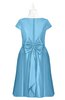 ColsBM Paislee Alaskan Blue Plus Size Bridesmaid Dresses Elegant Tea Length Zip up Short Sleeve A-line Sash
