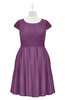 ColsBM Paislee Argyle Purple Plus Size Bridesmaid Dresses Elegant Tea Length Zip up Short Sleeve A-line Sash