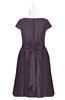 ColsBM Paislee Black Plum Plus Size Bridesmaid Dresses Elegant Tea Length Zip up Short Sleeve A-line Sash