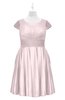 ColsBM Paislee Blush Plus Size Bridesmaid Dresses Elegant Tea Length Zip up Short Sleeve A-line Sash