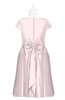 ColsBM Paislee Blush Plus Size Bridesmaid Dresses Elegant Tea Length Zip up Short Sleeve A-line Sash