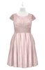 ColsBM Paislee Coral Pink Plus Size Bridesmaid Dresses Elegant Tea Length Zip up Short Sleeve A-line Sash