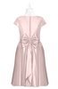 ColsBM Paislee Coral Pink Plus Size Bridesmaid Dresses Elegant Tea Length Zip up Short Sleeve A-line Sash