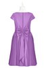 ColsBM Paislee Hyacinth Plus Size Bridesmaid Dresses Elegant Tea Length Zip up Short Sleeve A-line Sash