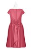 ColsBM Paislee Magenta Plus Size Bridesmaid Dresses Elegant Tea Length Zip up Short Sleeve A-line Sash