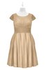ColsBM Paislee Mellow Buff Plus Size Bridesmaid Dresses Elegant Tea Length Zip up Short Sleeve A-line Sash