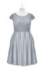 ColsBM Paislee Silver Plus Size Bridesmaid Dresses Elegant Tea Length Zip up Short Sleeve A-line Sash