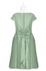 ColsBM Paislee Smoke Green Plus Size Bridesmaid Dresses Elegant Tea Length Zip up Short Sleeve A-line Sash
