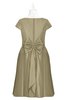 ColsBM Paislee Sponge Plus Size Bridesmaid Dresses Elegant Tea Length Zip up Short Sleeve A-line Sash